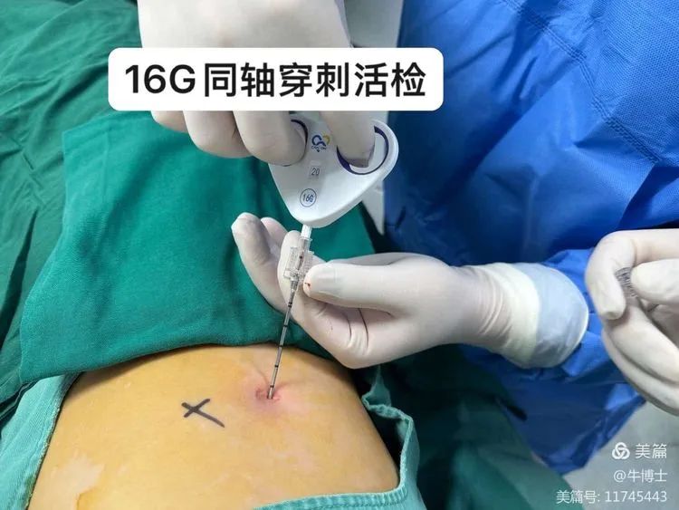 圖片 圖片